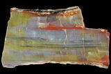 Polished Arizona Petrified Wood Section - Vibrantly Colored #94549-1